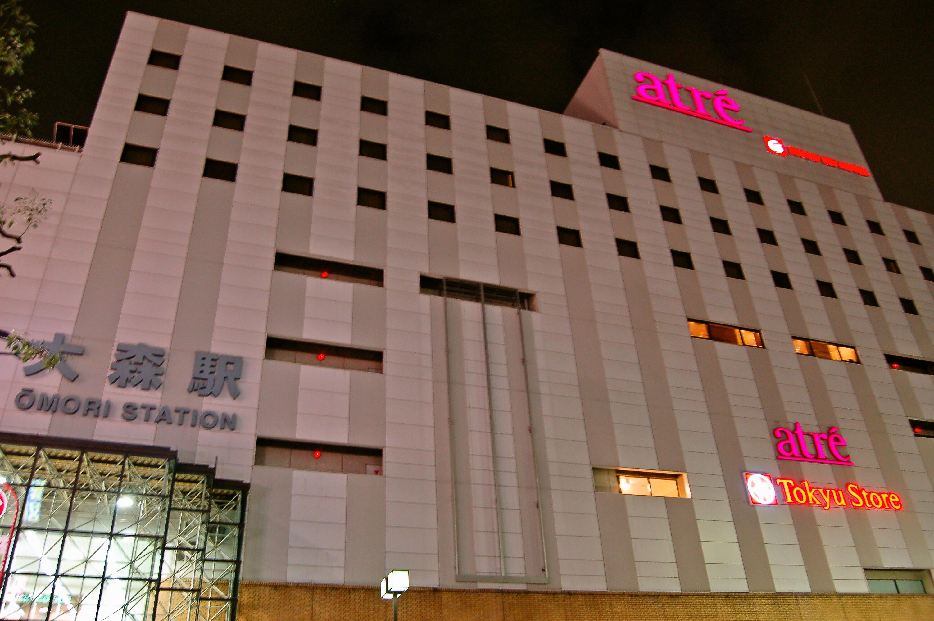Omori Tokyu Rei Hotel Токіо Екстер'єр фото